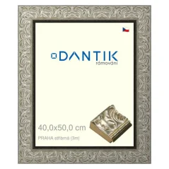 DANTIK obraz, puzzle, fotorámik 40x50 | PRAHA strieborná (Plexi Clear)