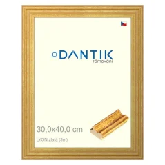 DANTIK obraz, puzzle, fotorámik 30x40 | LYON gold (Plexi Clear)