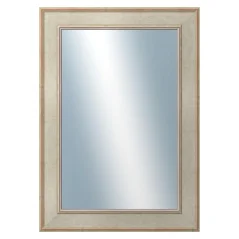 DANTIK - Zarámované zrkadlo - rozmer s rámom cca 50x70 cm z lišty TOOTH strieborná (2779)
