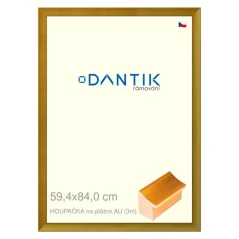 DANTIK rám na obraz, puzzle, fotografie 59,4x84 | Canvas swing AU (Plexi Clear)