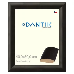 DANTIK obraz, puzzle, fotorámik 40x50 | René čierna (sklo číre)