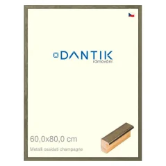 DANTIK obraz, puzzle, fotorámik 60x80 | Metalli oidati champagne (Plexi Clear)