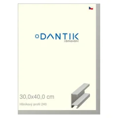 DANTIK rám na obrázky, puzzle, fotografie 30x40 | ALU profil 6240 Strieborný matný (Plexi Clear)