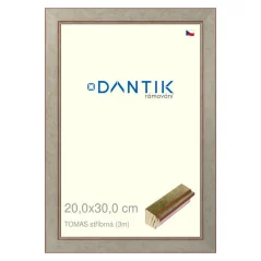 DANTIK obraz, puzzle, fotorámik 20x30 | TOMAS strieborná (sklo číre)