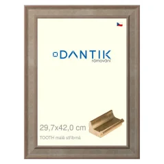 DANTIK obrázok, puzzle, fotorámik 29,7x42 | TOOTH small silver (Plexi Clear)