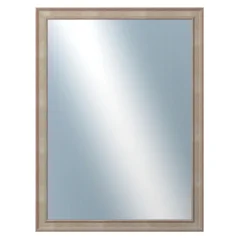 DANTIK - Zarámované zrkadlo - rozmer s rámom cca 60x80 cm z lišty TOOTH malá strieborná (3162)