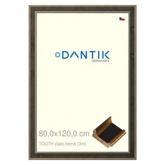 DANTIK rám na obrázky, puzzle, fotografie 80x120 | TOOTH zlatá čierna (Plexi Clear) DANTIK rám na obrázky, puzzle, fotografie 80x120 | TOOTH zlatá čierna (Plexi Clear)