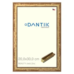 DANTIK obrázok, puzzle, fotorámik 20x30 | BEAUTY gold (sklo číre)