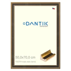 DANTIK rámik na obrázky, puzzle, fotografie 50x70 | TOOTH small gold black (Plexi Clear)