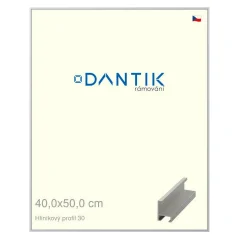 DANTIK rám na obrázky, puzzle, fotografie 40x50 | ALU profil 6030 Strieborný matný (sklo číre)