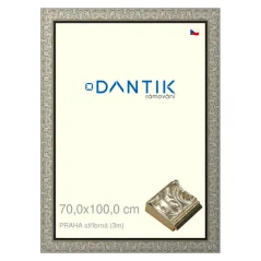 DANTIK rám na obrázky, puzzle, fotografie 70x100 | PRAHA strieborná (Plexi číra)