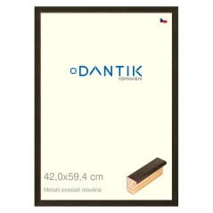 DANTIK obrázok, puzzle, fotorámik 42x59,4 | Kovové oidati olovo (Plexi Clear)