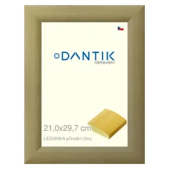 DANTIK obraz, puzzle, fotorámik 21x29,7 | LEDVINKA prírodná (sklo číre)