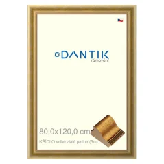 DANTIK obraz, puzzle, fotorámik 80x120 | WING veľká zlatá patina (Plexi Clear) DANTIK obraz, puzzle, fotorámik 80x120 | WING veľká zlatá patina (Plexi Clear)