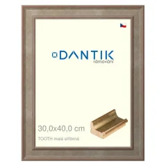 DANTIK obrázok, puzzle, fotorámik 30x40 | TOOTH small silver (Plexi Clear)