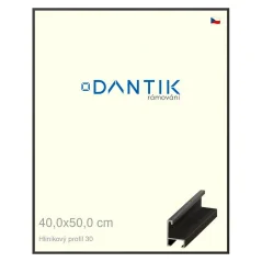 DANTIK rám na obrázky, puzzle, fotografie 40x50 | ALU profil 6030 dýha čierna (sklo číre)
