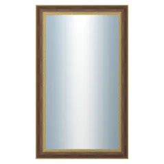DANTIK - Zrkadlo v ráme - rozmery s rámom cca 60x100 cm z pásu RED GOLD plast (3069)