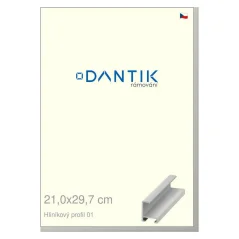 DANTIK rámeček na obraz, puzzle, fotku 21x29,7 | ALU profil 6001 Stříbrná matná (Sklo Čiré)