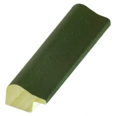 Rámová lišta DANTIK - 2870 - NPINO zelená