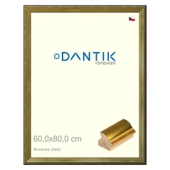 DANTIK obraz, puzzle, fotorámik 60x80 | ANIVERSA gold (Plexi Clear)