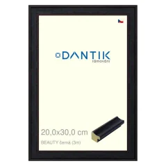 DANTIK obraz, puzzle, fotorámik 20x30 | BEAUTY čierna (sklo číre)