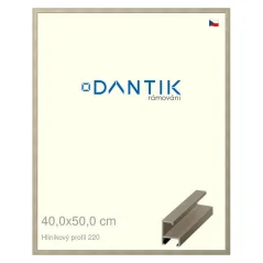 DANTIK obraz, puzzle, fotorámik 40x50 | ALU profil 6220 šampanské (sklo číre)
