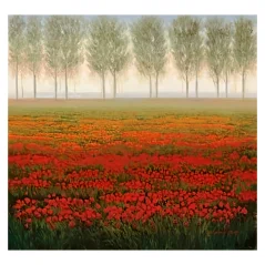 Reprodukcia Park - Morning Mist - 68x68