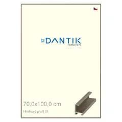 DANTIK rám na obrázky, puzzle, fotografie 70x100 | ALU profil 6001 champagne (Plexi Clear)