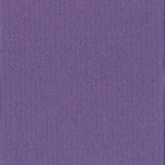 Paspartovací kartón DANTIK - MUS282 (Šeřík tmavý)