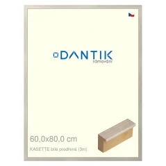 DANTIK obraz, puzzle, fotorámik 60x80 | KASSETTE biely dierovaný (Plexi Clear)