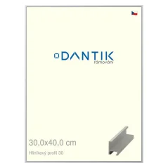 DANTIK rám na obrázky, puzzle, fotografie 30x40 | ALU profil 6030 Strieborný matný (Plexi Clear)