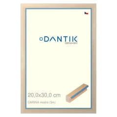 DANTIK obraz, puzzle, fotorámik 20x30 | CARINA modrá (sklo číre)