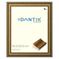 DANTIK obraz, puzzle, fotorámik 40x50 | Výpredaj | METAL AU prolá veľká (sklo číre)