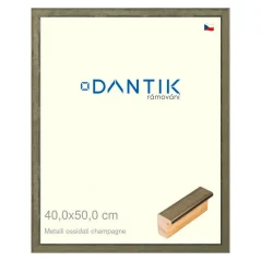 DANTIK obraz, puzzle, fotorámik 40x50 | Metalli oidati champagne (Plexi Clear)