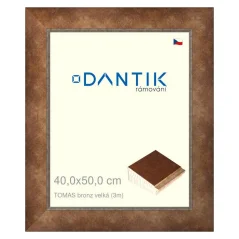 DANTIK obraz, puzzle, fotorámik 40x50 | TOMAS bronz veľký (sklo číre)