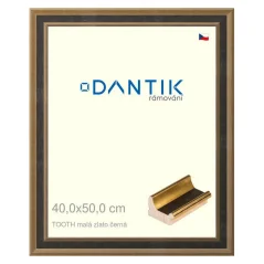 DANTIK obrázok, puzzle, fotorámik 40x50 | TOOTH malý zlatý čierny (sklo číre)
