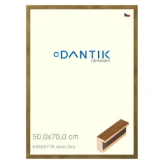 DANTIK obraz, puzzle, fotorámik 50x70 | KASSETTE gold (Plexi Clear)