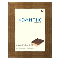 DANTIK rám na obrázky, puzzle, fotografie 29,7x42 | TRITON široký zlatý (Plexi Clear)