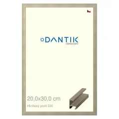 DANTIK rám na obrázky, puzzle, fotografie 20x30 | ALU profil 6220 šampanské (sklo číre)