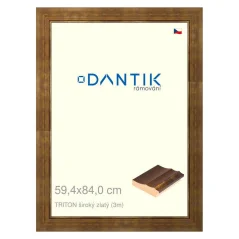DANTIK rám na obrázky, puzzle, fotografie 59,4x84 | TRITON široký zlatý (Plexi Clear)