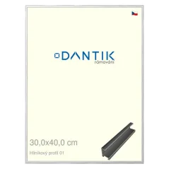DANTIK rám na obrázky, puzzle, fotografie 30x40 | ALU profil 7001 Strieborný lesklý (Plexi Clear)