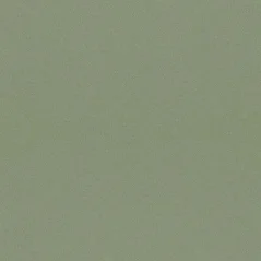 Paspartovací kartón DANTIK - MUS276 (Zelená felce)