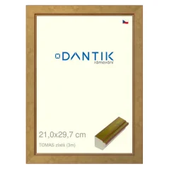 DANTIK obraz, puzzle, fotorámik 21x29,7 | TOMAS gold (Glass Clear) DANTIK obraz, puzzle, fotorámik 21x29,7 | TOMAS gold (Glass Clear)