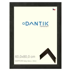DANTIK obraz, puzzle, fotorámik 60x80 | SARTORI listy čer.s. (Plexi Clear)