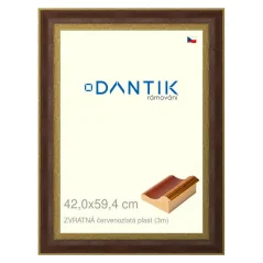 DANTIK rám na fotografie, puzzle, fotografie 42x59,4 | BACK červeno-zlatý plast (Plexi Clear)