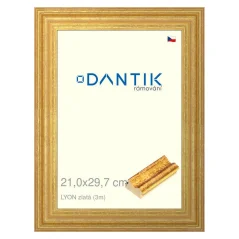 DANTIK obraz, puzzle, fotorámik 21x29,7 | LYON zlatá (sklo číre)