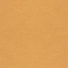 Vzorka 4x4 cm paspartovacieho kartónu MUS246 - Javor Vzorka 4x4 cm paspartovacieho kartónu MUS246 - Javor