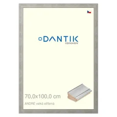 DANTIK obraz, puzzle, fotorámik 70x100 | ANDRÉ big silver (Plexi Clear)