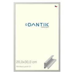 DANTIK rám na obrázky, puzzle, fotografie 20x30 | ALU profil 6001 Strieborný matný (sklo číre)