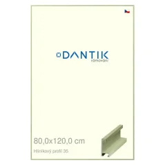 DANTIK rám na obrazy, puzzle, fotografie 80x120 | ALU profil 6035 Dýha farebná zelená pastelová (Plexi Clear)